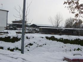 nieve 06012900123.JPG