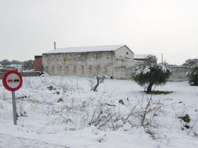 nieve 06012900128.JPG